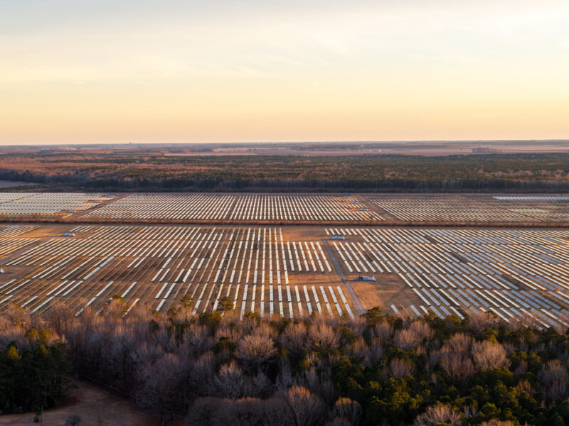 Utility Scale Solar Routine Maintenance Electrical Maintenance Services for Utility-Scale Solar Farms